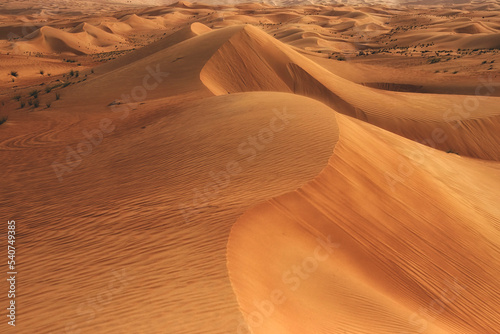 sand dunes in the desert of Oman