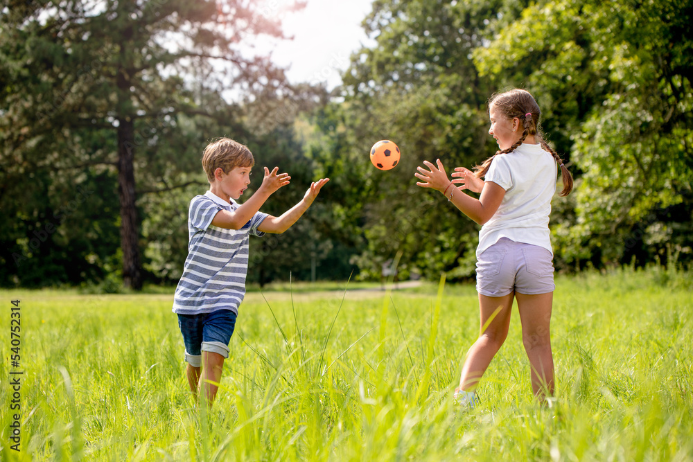 Fototapeta premium Happy siblings throwing ball and playing on green grass in park