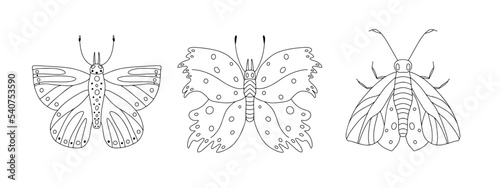 Beautiful butterflies set in hand drawn doodle style. Cute designs for greeting card  party invitation  fashion clothes print. Vector Illustration.