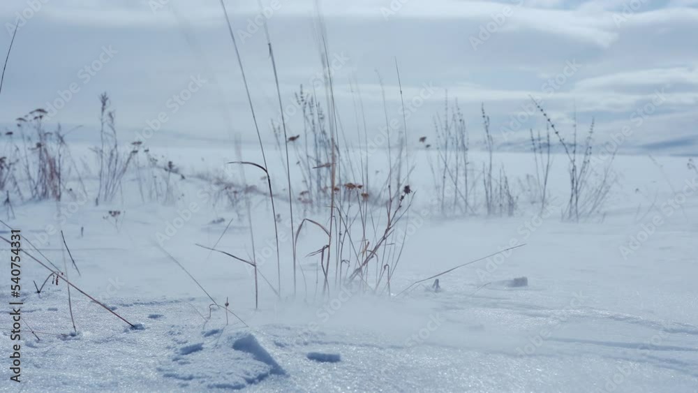 Strong wind and snow particals on frozen ground. Strong wind and snow particals on frozen ground.