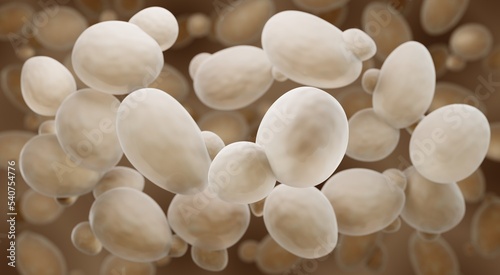 Foto Saccharomyces cerevisiae also known as Baker's or Brewer's yeast
