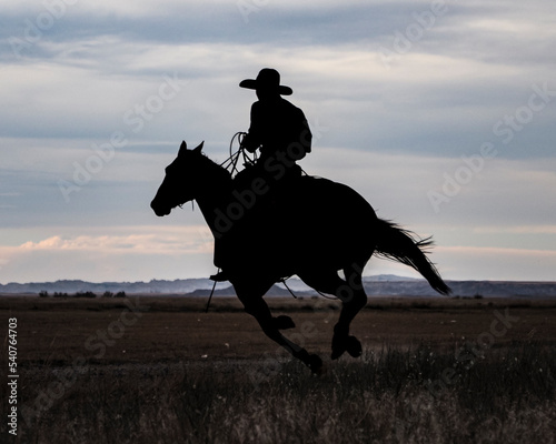 horse and rider at sunset © Bev