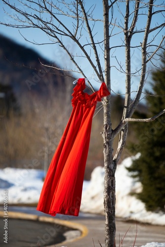 Canvas Print Red dress hanging from a leafless tree and swaying from the wind