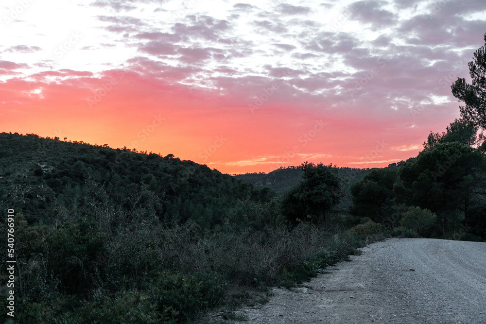 Fototapeta premium Idyllic sunset on the road in the middle of the nature