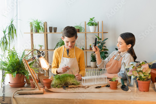 Boy in apron holding tweezers and test tube near plants and friend at home.