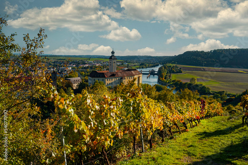 Wine experience in the lower Neckar valley