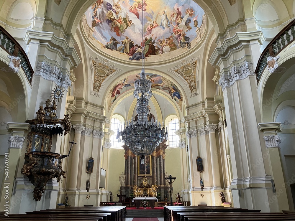 Obraz premium Interior of the Church of the Visitation of Virgin Mary in Hejnice, Czech Republic