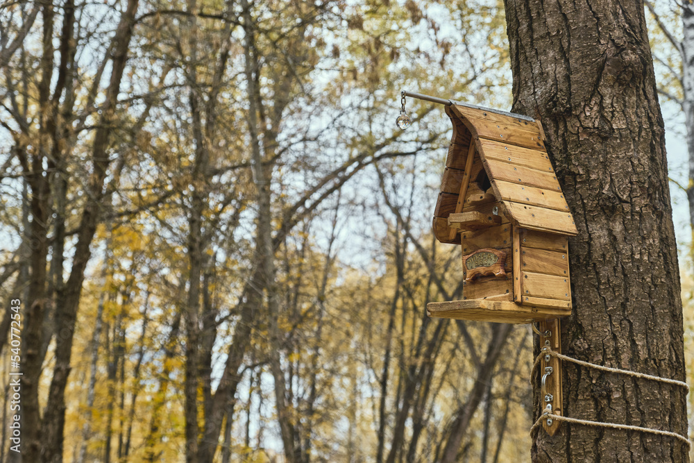 Wooden feeder for squirrels and birds on a tree in the autumn forest birdhouse Wooden feeder for squirrels and birds on a tree in the autumn forest birdhouse