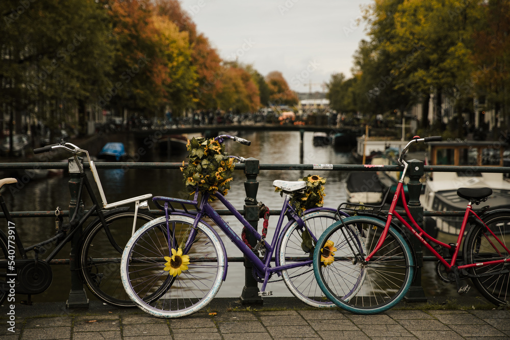 Bicycles lining a bridge over the canals of Amsterdam Autumn in Amsterdam, Holland.