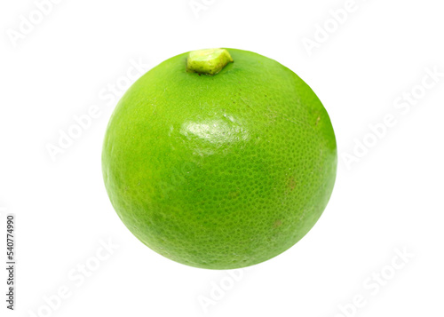 Closeup a Vibrant Green West Indian Lime Isolated on Transparent Background, PNG File photo