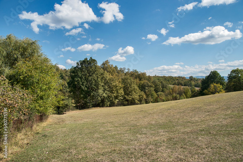 Mountain meadow landscape in clear sunny summer day