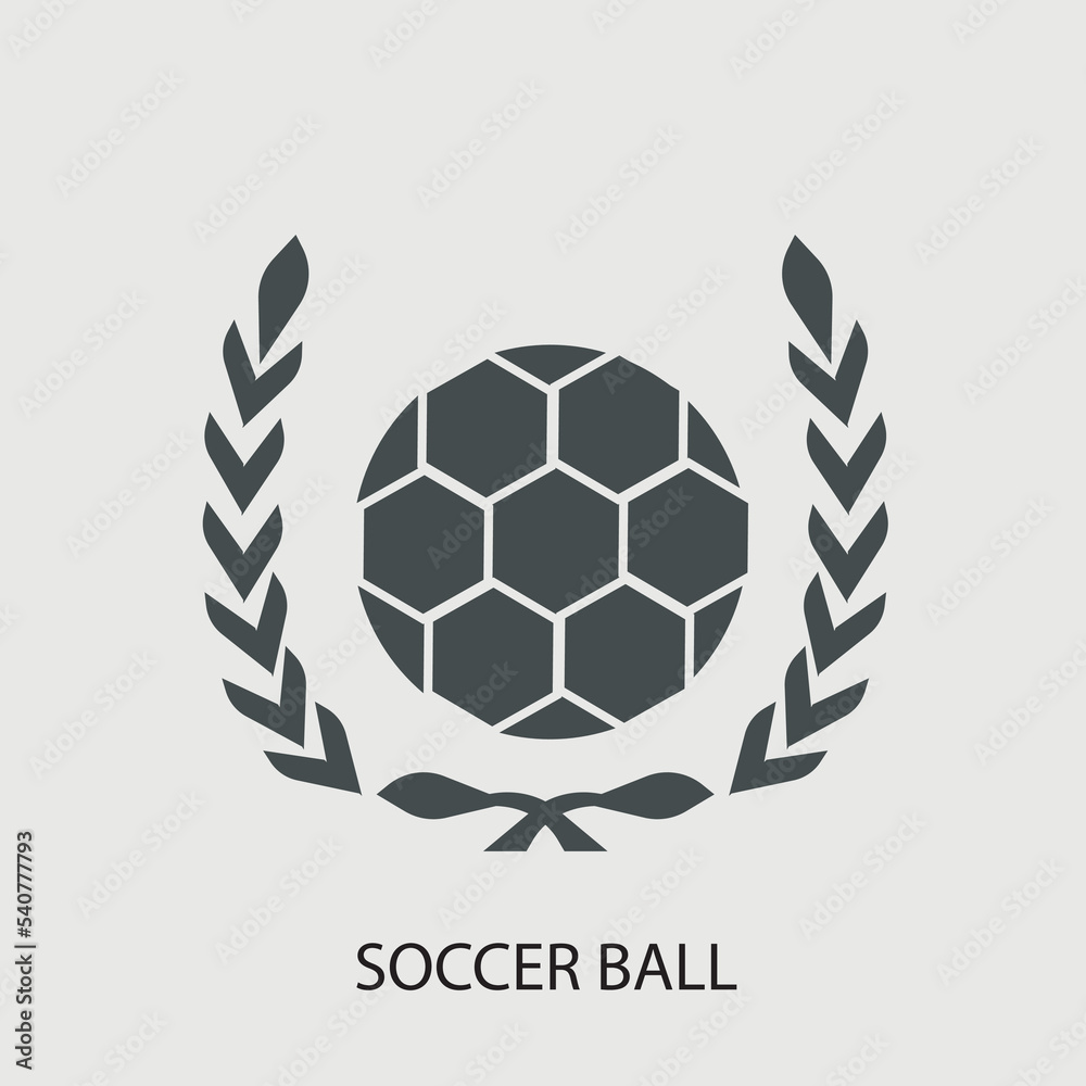 Soccer ball vector icon illustration sign Soccer ball vector icon illustration sign