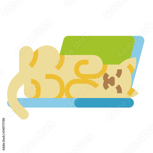 cat flat icon