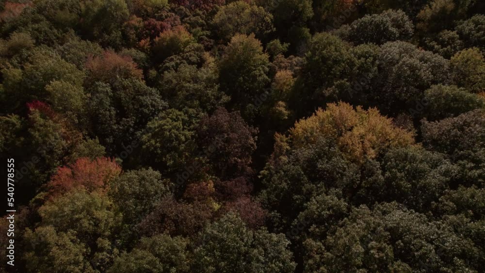 Drone flight over fall foliage near Baraboo, WI. Drone flight over fall foliage near Baraboo, WI.
