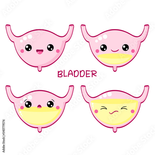 Set of human bladder in kawaii style with smiling face and pink cheeks. Collection of cute human internal organs characters. Full and empty bladder. Vector illustration EPS8  