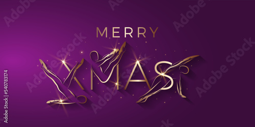 Merry Christmas Pilates Banner
