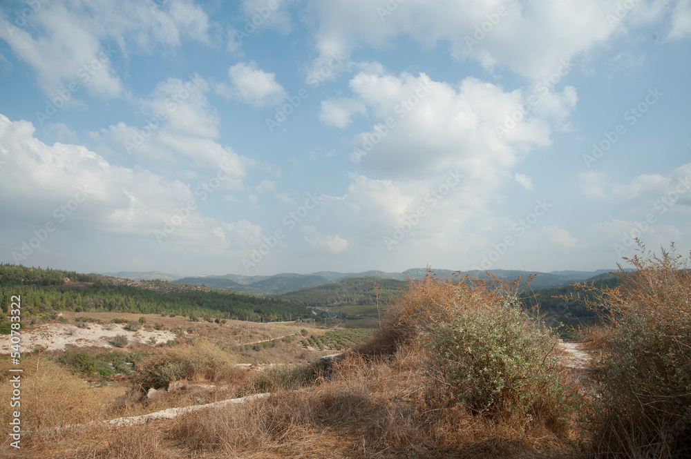 Panoramic view of the agricultural valley near Latrun Monastery. Israel.
