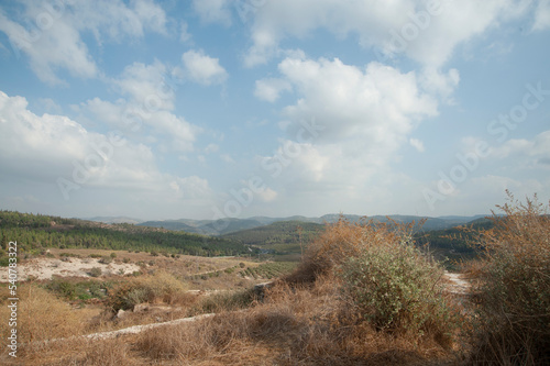 Wallpaper Mural Panoramic view of the agricultural valley near Latrun Monastery. Israel.
 Torontodigital.ca