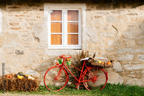 bicycle with pumpkins decor for Halloween