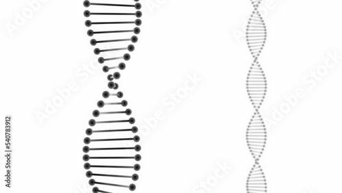 3d dna model rotatting, minimalist representation of genetic information with white background. Can be used to represent evolution, microbiology or biochemistry