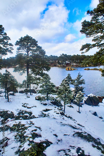 lake on winter with trees covered of snow in arareco lake, creel chihuahua 