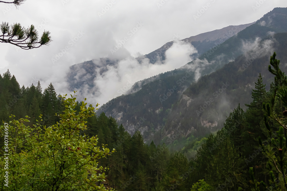 Panoramic view of alpine valley on the hiking trail leading to Mount Olmypus, Macedonia, Greece, Europe. Lush green pine tree forest in summer covered in early morning clouds and fog. Wanderlust