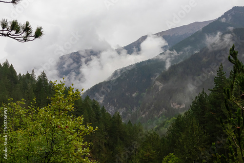 Panoramic view of alpine valley on the hiking trail leading to Mount Olmypus, Macedonia, Greece, Europe. Lush green pine tree forest in summer covered in early morning clouds and fog. Wanderlust © Chris