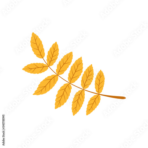 Branch of yellow leaves flat cartoon icon. Vector botanical organic branch, natural herb, floral decor object. Laurel foliage, autumn fall element