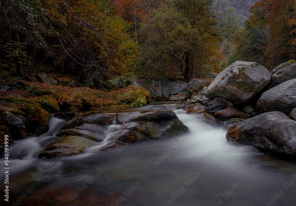 Long exposure of mountain river with autumn colors, foliage. Italian Alps.