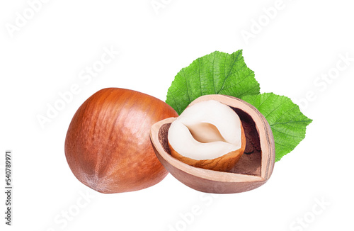 Hazelnuts isolated on white or transparent background. Two filbert nuts whole and cracked half with green leaves photo