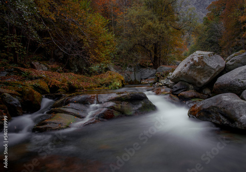 Obraz na płótnie Long exposure of mountain river with autumn colors, foliage. Italian Alps. w salonie