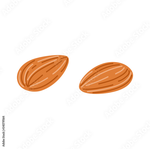 Argan peeled nut organic healthy food ingredient cartoon icon. Vector healthy eating, kernel dry superfood, Japanese nut, argan oil ingredient