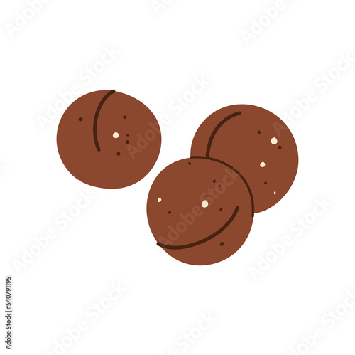 Macadamia nut in shell isolated cartoon queensland nut. Vector brown unpeeled nuts in husky, healthy roasted cracked nut in hard shell