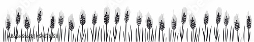 Vector horizontal illustration of wheat hand-drawn in doodle style