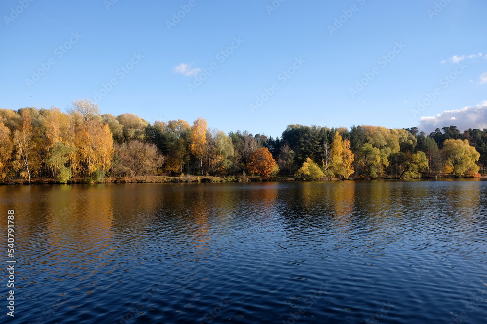 Calm countryside landscape with quiet river and motley autumn colorful forest after it under blue sky horizontal view