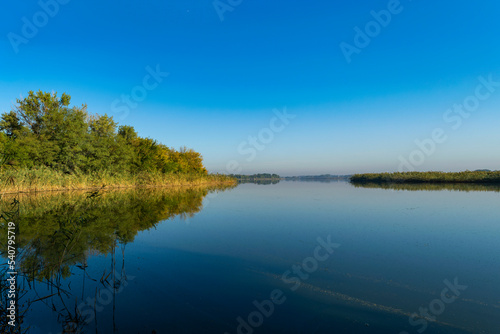 View of the river with banks overgrown with reeds and illuminated by the morning sun against a cloudless blue sky