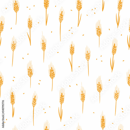 Vector wheat pattern hand-drawn in doodle style