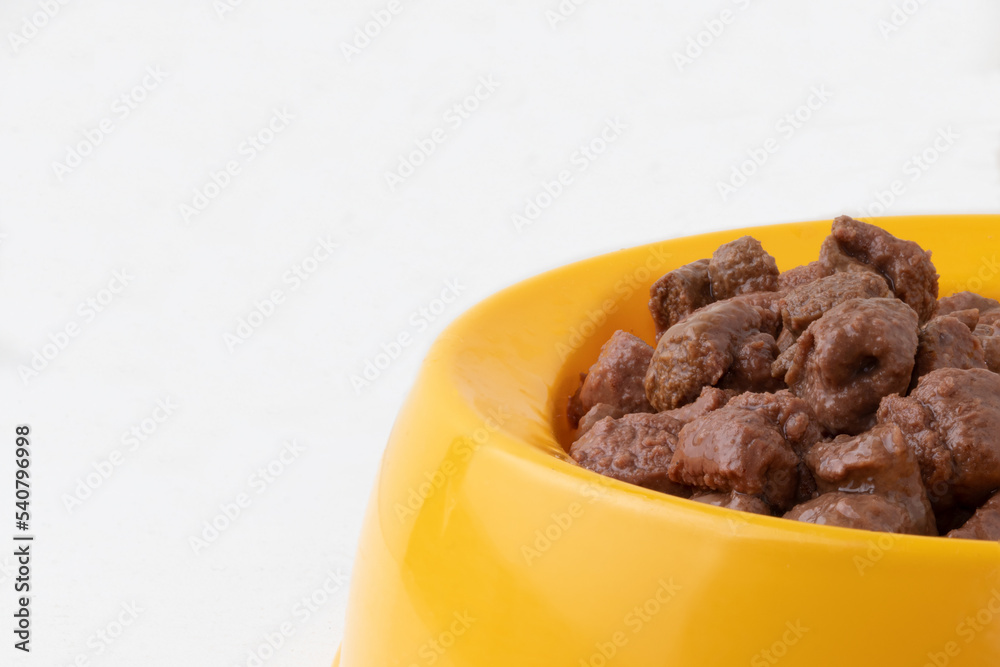 Nutritious dog meat in a plate. Nutritious dog meat in a plate.