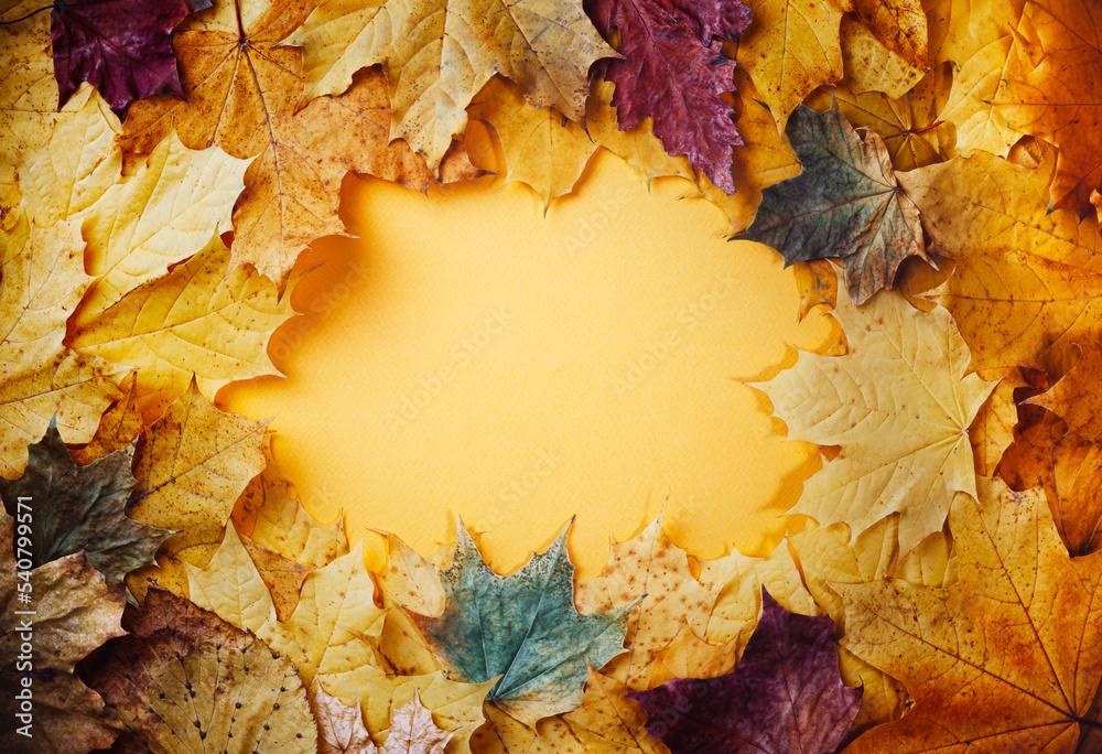 Autumn concept - background of autumn fallen leaves of different colors with a place for text in the middle, yellow, copy space Autumn concept - background of autumn fallen leaves of different colors with a place for text in the middle, yellow, copy space