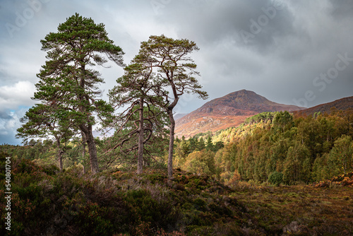 clouds gathering over glen affric photo