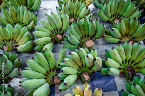 Yellow unripe green bananas are sold at the market in Thailand. Green raw bananas are used for making fried bananas that are popular in Thailand.