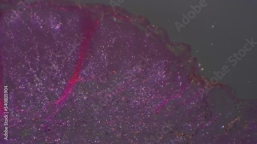 Dense connective tissue with tendon in longitudinal section filmed with 100 times magnification and cross light. Macro view of human inner body part for detailed anatomy investigation in a lab photo