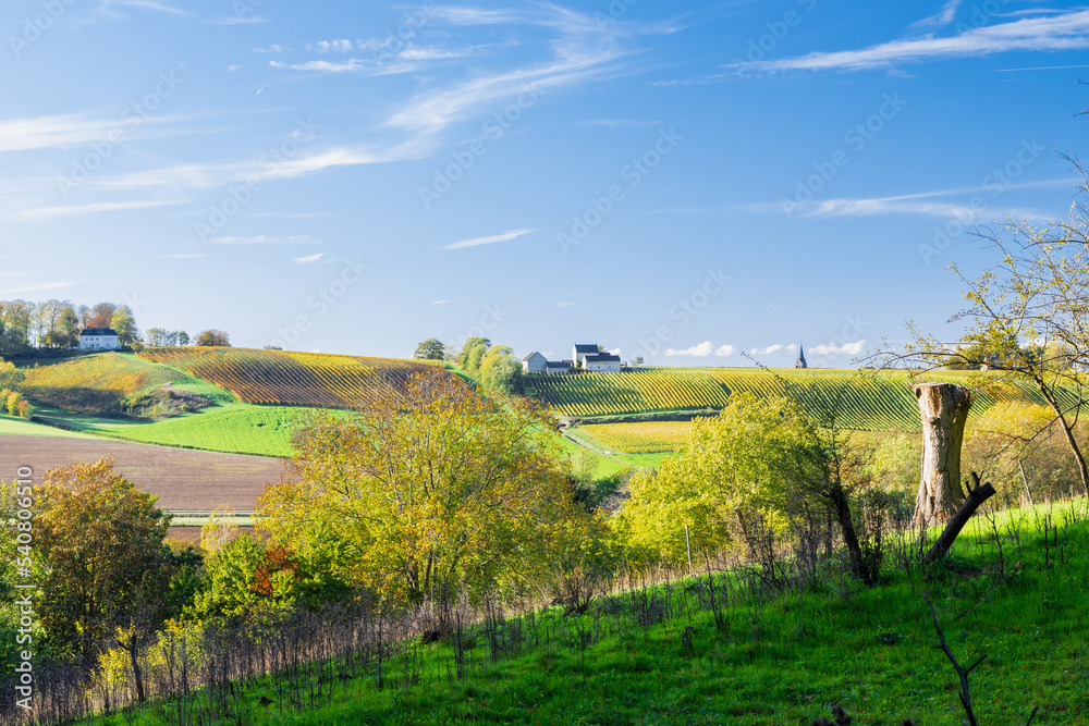 Naklejka premium Autumn view of a valley in Maastricht with an beautiful cloudscape with fluffy clouds of a rolling hill landscape with vineyards in the South of the Netherlands