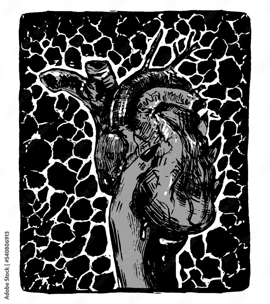 Fototapeta premium The hand holds human heart. Witch hand, sacrifice, monster. Halloween monochrome hand drawn vector illustration. Abstract picture isolated on white. Artistic print in vintage engraving style.