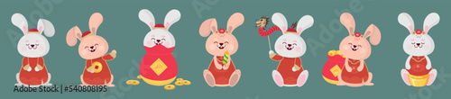 Foto Set of Chinese rabbits on color background