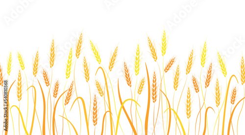 Vector illustration of beautiful ears of wheat. Silhouette of yellow wheat ready to harvest in flat style.