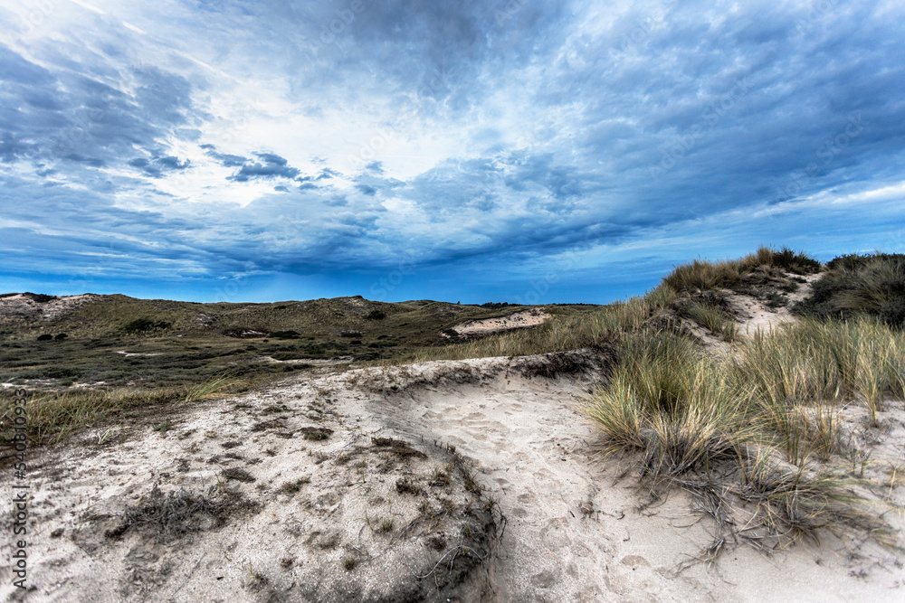 Dunes near the beach at the dutch coast.