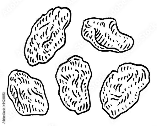 Raisins. Vector black vintage engraving illustration. Isolated on white background.