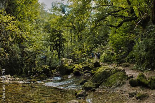 River flowing through the heavily forested Gorges de l'Abîme, Saint-Claude, Jura, France. Clear stream with a beautiful footpath though green, unspoiled forest. 