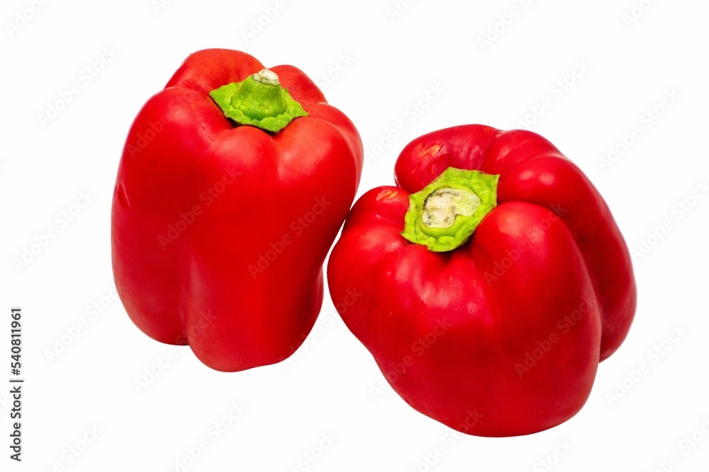 Red Pepper on a white background Red Pepper on a white background